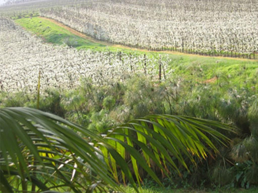 La Terra De Luc Villa Franschhoek Eksteriør bilde
